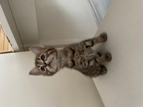 soğuktan dışarıda üşümesinler fotoğraf