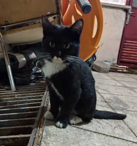 Akıllı Zero sıcak yuvasını arıyor 🙂 fotoğraf