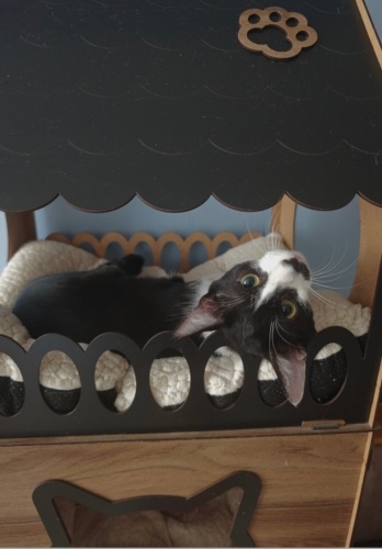 Müthiş Kucakçı Sevgi Delisi Miray a Bir Melek fotoğraf