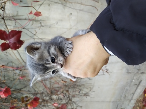 Onu görün sıcaklığı hissedin. fotoğraf