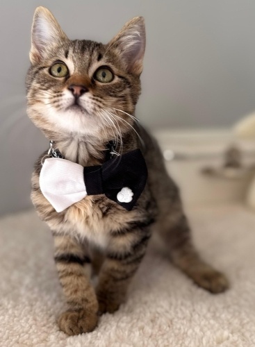 KUZEY YUVA ARIYOR fotoğraf