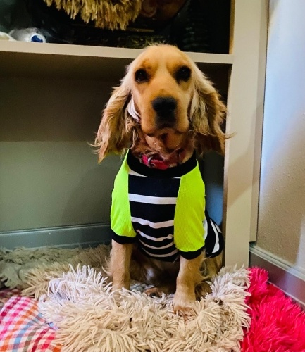 1 yaş civarında yuva arıyoruz fotoğraf