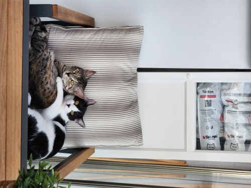 O kadar tatlılar ki görünce anlayacaksınız fotoğraf