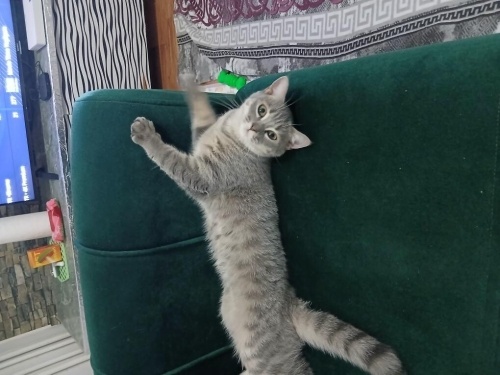 2 yasinda kizimiza yuva fotoğraf