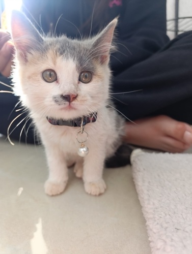 2 aylik bebeklerimize yuva fotoğraf