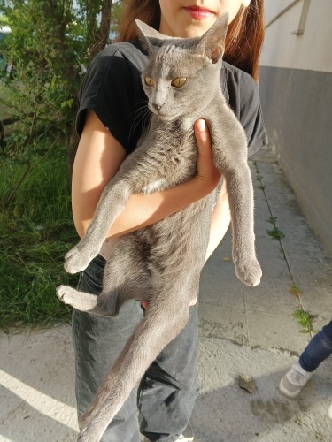 Geceye ömürlük yuva fotoğraf