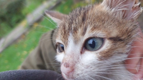 O kadar tatlıki tam yemelik fotoğraf