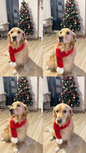 Oyuncu güzel kızımız fotoğraf