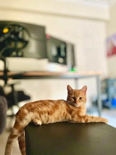 Bebeklerle arası çok iyi olan Zeyno fotoğraf