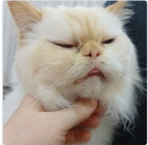 13 yaşında hassas ve yalnız 😔 fotoğraf