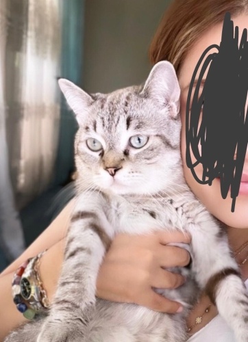 Ömürlük yuva arıyor fotoğraf