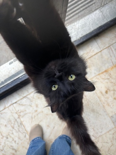 Yuvanızı Açar Mısınız? fotoğraf