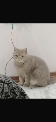 Güzel kızımız yuva arıyor fotoğraf