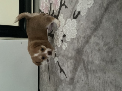 Gelecekleri olsun fotoğraf