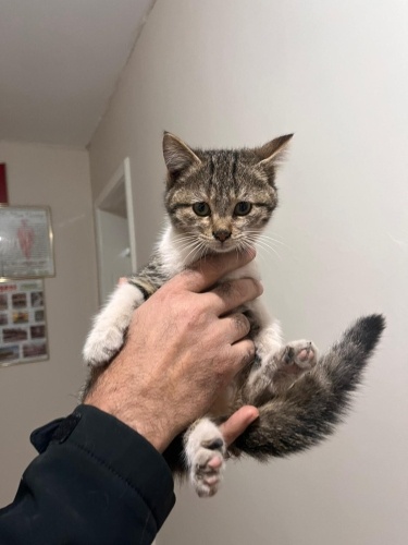 Haticeme kendi gibi sıcak bir kucak arıyoruz 💐 fotoğraf