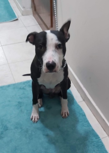 Uslu güzel melek fotoğraf