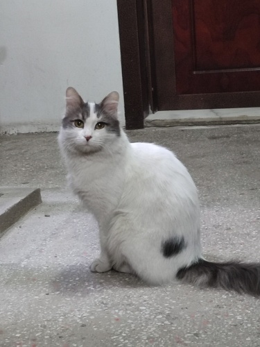 Çok Canayakın 💗 fotoğraf