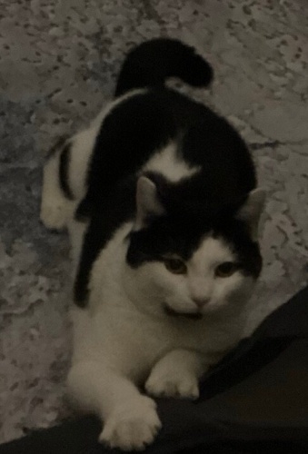 05347784665 oyun oynamayı çok sever fotoğraf