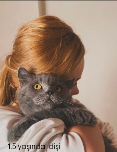 Güzel kıza yuva arıyoruz fotoğraf