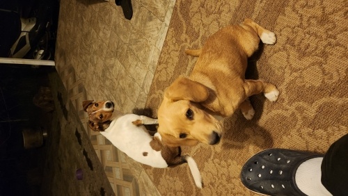 Sokakta bulduğum oyuncu fotoğraf