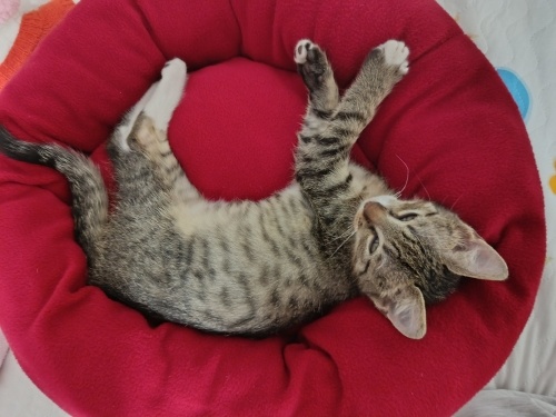 Sevgi Dolu Dumanımıza Şefkatli Yuva Arıyoruz fotoğraf