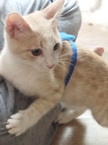 ruzgar evinizde essin mi? fotoğraf