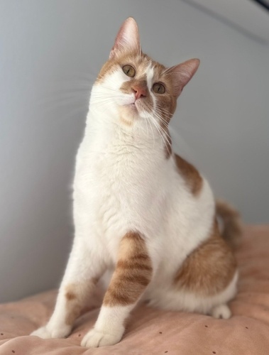 SELİ YUVS ARIYOR fotoğraf