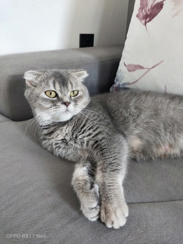 Geçici evde çok mutsuz ömürlük yuva olurmusunuz fotoğraf