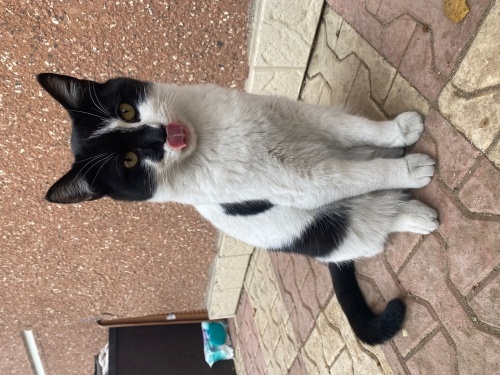 Lucy Yuva Arıyor fotoğraf