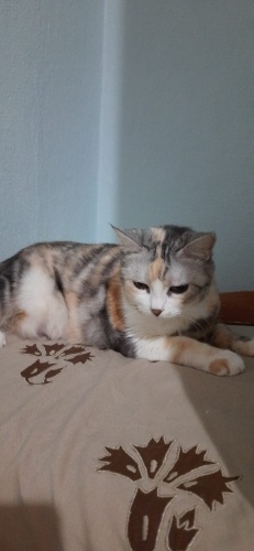 Büyük bebeğe ömürlük yuva fotoğraf