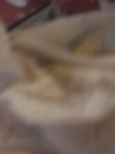 Zeyno 9 aylık kısır değil sevecen kucağa gelmeyi ve oyun oynamayı sevanlaşamiyor fotoğraf