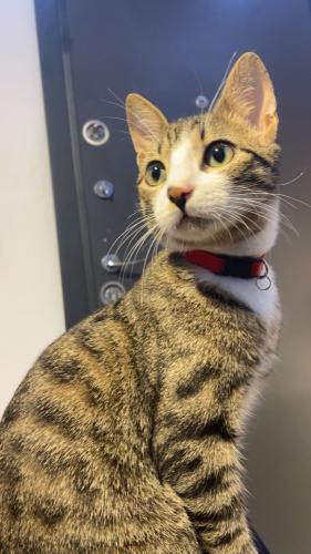 ÖĞRENCİ OLDUĞUM İÇİN MAALESEF EŞREFİMİ SAHİPLENDİRİYORUM fotoğraf