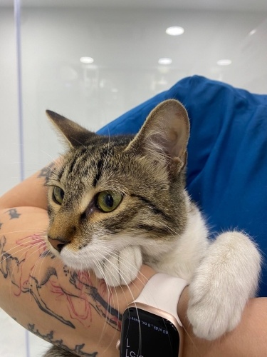 Eşyaları ile sokağa terk edilen güzel kıza yuva olur musunuz fotoğraf