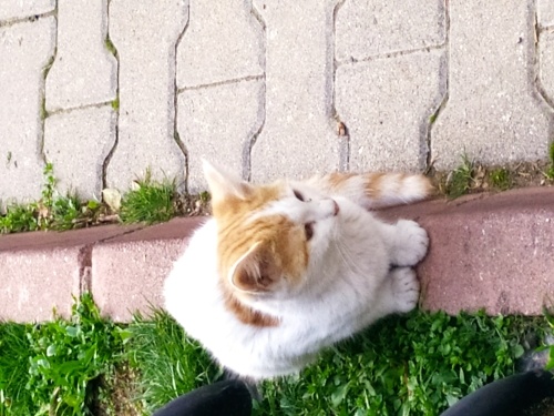 Onu görün sıcaklığı hissedin. fotoğraf