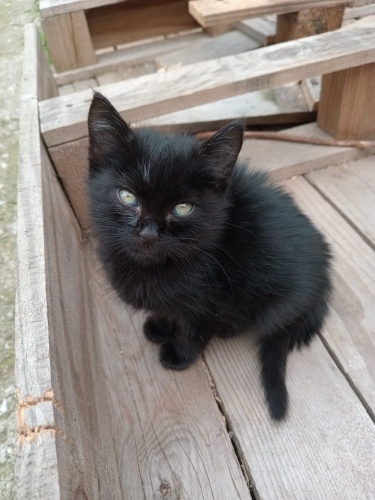 Mırmır sevecen minicik bir bebek fotoğraf