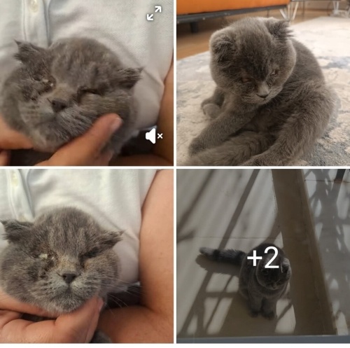 Engellilere öncelik fotoğraf