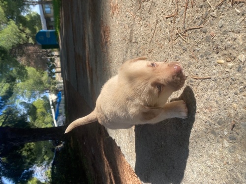 Tek kaldım aile olalım fotoğraf