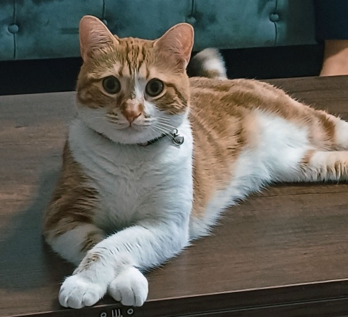 İlgi Bağımlısı, Sıcak Kanlı Bir Bebek :) fotoğraf