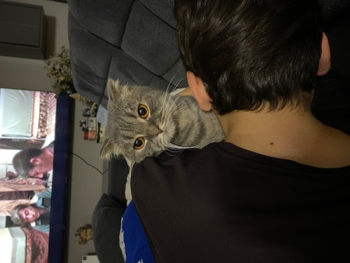 Cins uysal kızım Balım fotoğraf