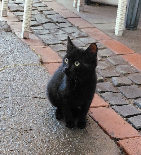 Annesinden ayirmışlar fotoğraf