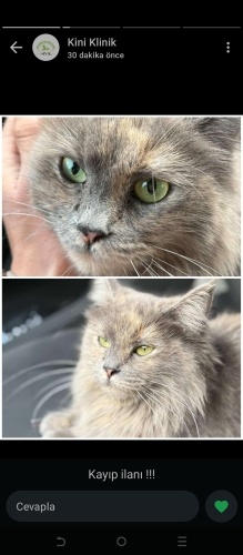 Yalnızlığın ve terkedilmişliğin gölgesinde masum bir melek fotoğraf