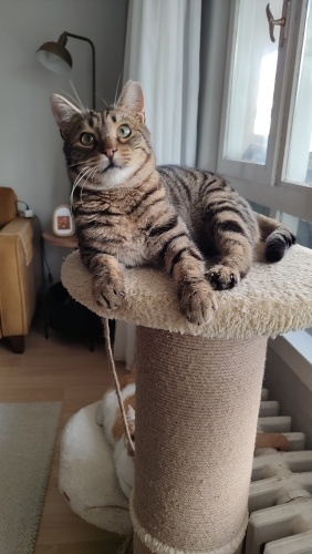 Bu yakışıklı bey yuva arıyor fotoğraf