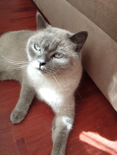 3. Yuva değiştiriyor Acil Yuva fotoğraf