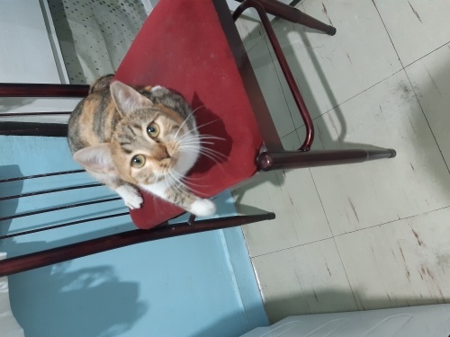 Oyuncu kızımız 😻💚 fotoğraf