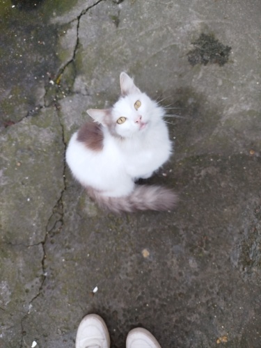 Bu güzel kıza acil yuva lütfen fotoğraf