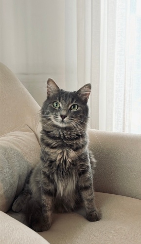 Güzeller Güzeli Maya fotoğraf