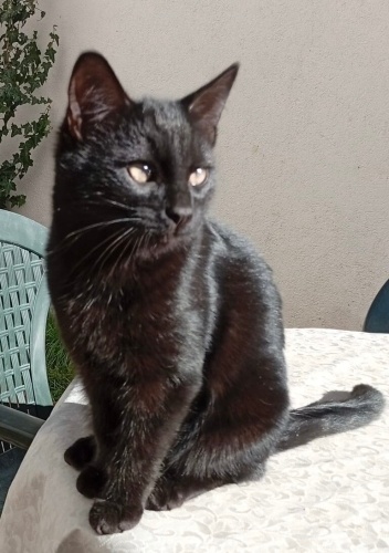 Ewine neşe arayanlar beni alırmısınız fotoğraf