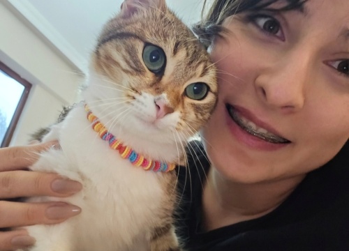 Güzel gözlü kedim sofya tel:0545 806 86 49 fotoğraf