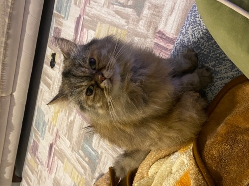 Biraz soguk mesafeli fotoğraf