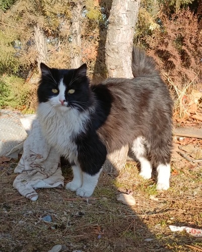 İnsanları çok seven güzel bir kız fotoğraf